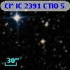 Cl* IC 2391   CTIO       5