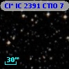 Cl* IC 2391   CTIO       7