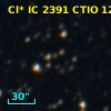 Cl* IC 2391   CTIO      12