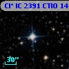 Cl* IC 2391   CTIO      14