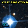 Cl* IC 2391   CTIO      16