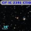 Cl* IC 2391   CTIO      38