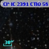 Cl* IC 2391   CTIO      58