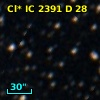 Cl* IC 2391      D      28