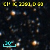 Cl* IC 2391      D      60