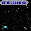 Cl* IC 2391      D      63