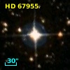 HD  67955