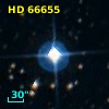 HD  66655