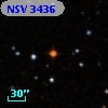 NSV  3436