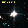HD  46313