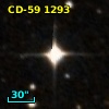 CD-59  1293