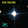 HD  36190
