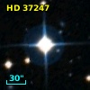 HD  37247