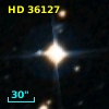 HD  36127