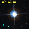 HD  36435