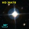 HD  36478