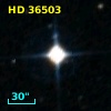 HD  36503