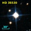 HD  36530