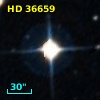 HD  36659