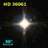 HD  36061