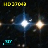 HD  37049