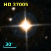 HD  37005