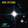 HD  37194