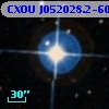 CXOU J052028.2-604648