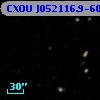 CXOU J052116.9-604100