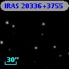 IRAS 20336+3755