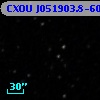 CXOU J051903.8-604401