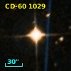 CD-60  1029
