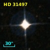 HD  31497
