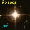 HD  31028