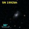 SN 1992bh