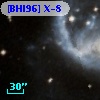 [BHI96] X-8