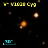 V* V1828 Cyg
