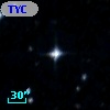 TYC 8503-978-1