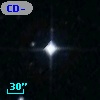 CD-55   774