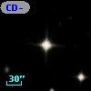 CD-53   708