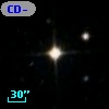 CD-53   626