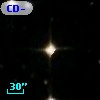 CD-53   665