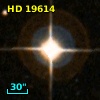 HD  19614