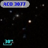 ACO  3077