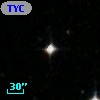 TYC 8064-1354-1