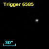 Trigger  6585