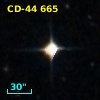 CD-44   665
