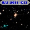 IRAS 10081-4233