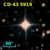 CD-43  5919