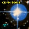 CD-44  6064B